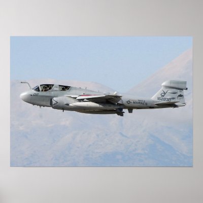 Prowler Aircraft Marines