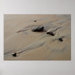 Each tide brings new discovery beach poster