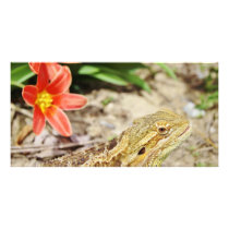Eager Bearded Dragon Personalized Photo Card