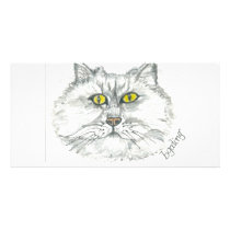 Eager Cat photo cards
