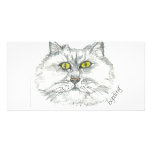 Eager Cat Picture Card