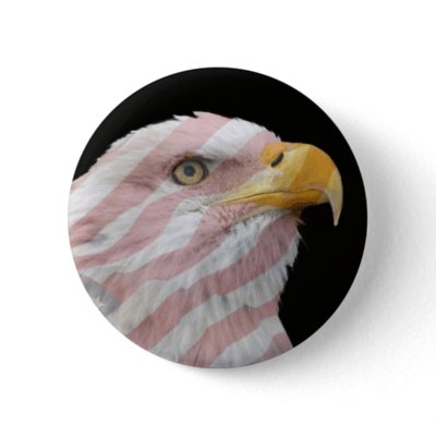 Eagle2 Pin by Pennylanephoto