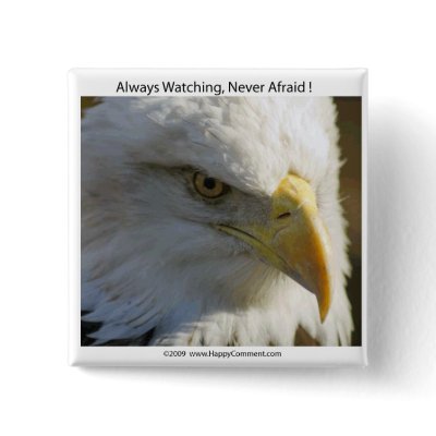 Eagle4 Pin by Pennylanephoto