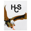 Eagle4 flyers