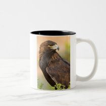 Eagle - 11oz. Mug mugs