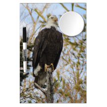 Eagle 2 dry erase board