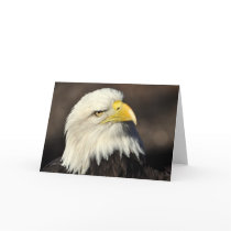 Eagle 3 Card