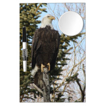Eagle 3 dry erase board with mirror