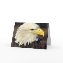 Eagle 4 Card