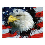 Eagle and Flag on an American Foundation Postcard