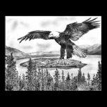 Eagle and Lake Poster posters