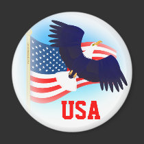 Eagle and US Flag magnets