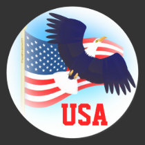 Eagle and US Flag stickers