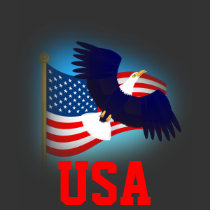 Eagle and US Flag t-shirts