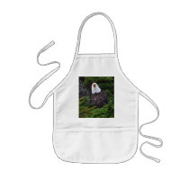 eagle aprons