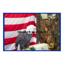 eagle at the fair posters by tiger11 eagle at the fair posters