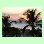Eagle Beach Aruba Sunset Postcard postcards