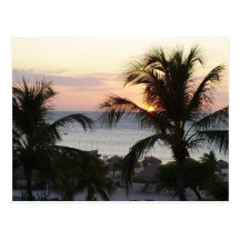Eagle Beach Aruba Sunset Postcard