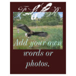 Eagle bells Flyer