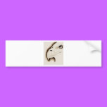 Eagle bumper stickers