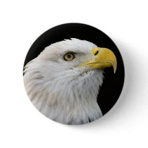 Eagle buttons by Pennylanephoto Eagle buttons