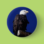 Eagle Buttons