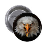 eagle button