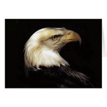 Eagle cards by REDINARD Eagle cards
