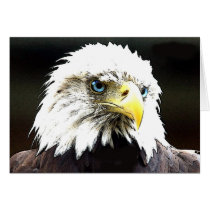 eagle cards
