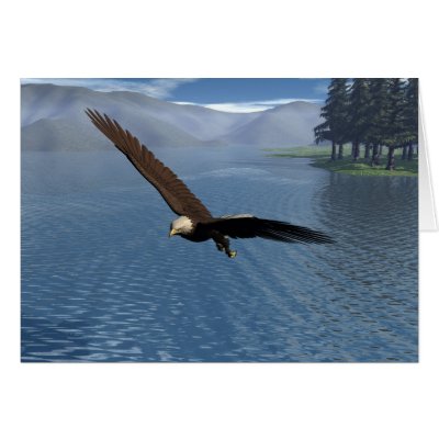 Eagle Cards by jasonmit