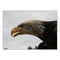 Eagle cards