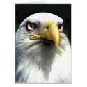 EAGLE cards by REDINARD EAGLE cards