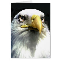 EAGLE cards