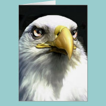 EAGLE cards