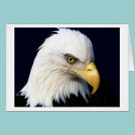eagle cards