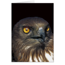 eagle cards