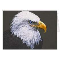 Eagle cards