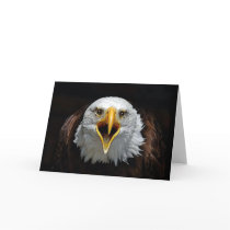 EAGLE cards