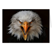 eagle cards