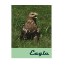 Eagle card postcards