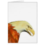 Eagle closeup cards by OneArmedGraphics