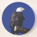 Eagle Beverage Coasters