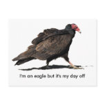 EAGLE DAY OFF postcards