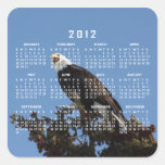 Eagle de griterío; Calendario 2012 Calcomanía Cuadrada