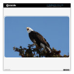 Eagle de griterío MacBook air calcomanía