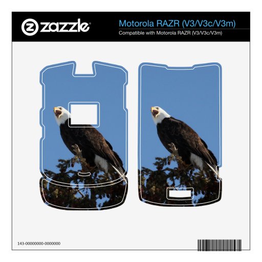 Eagle de griterío skins para motorola RAZR