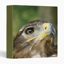 Eagle Eye Binder
