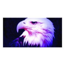 Eagle Eye photo cards