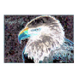 Eagle Eye Eagle Eye