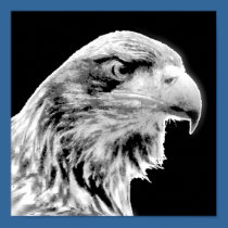 Eagle Eye posters